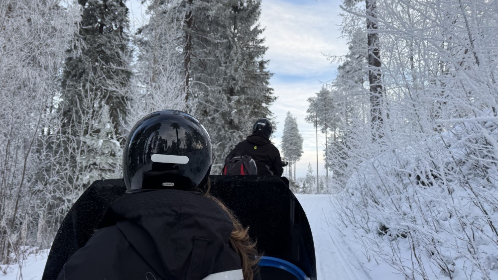 Sneeuwscootertocht door het bos.